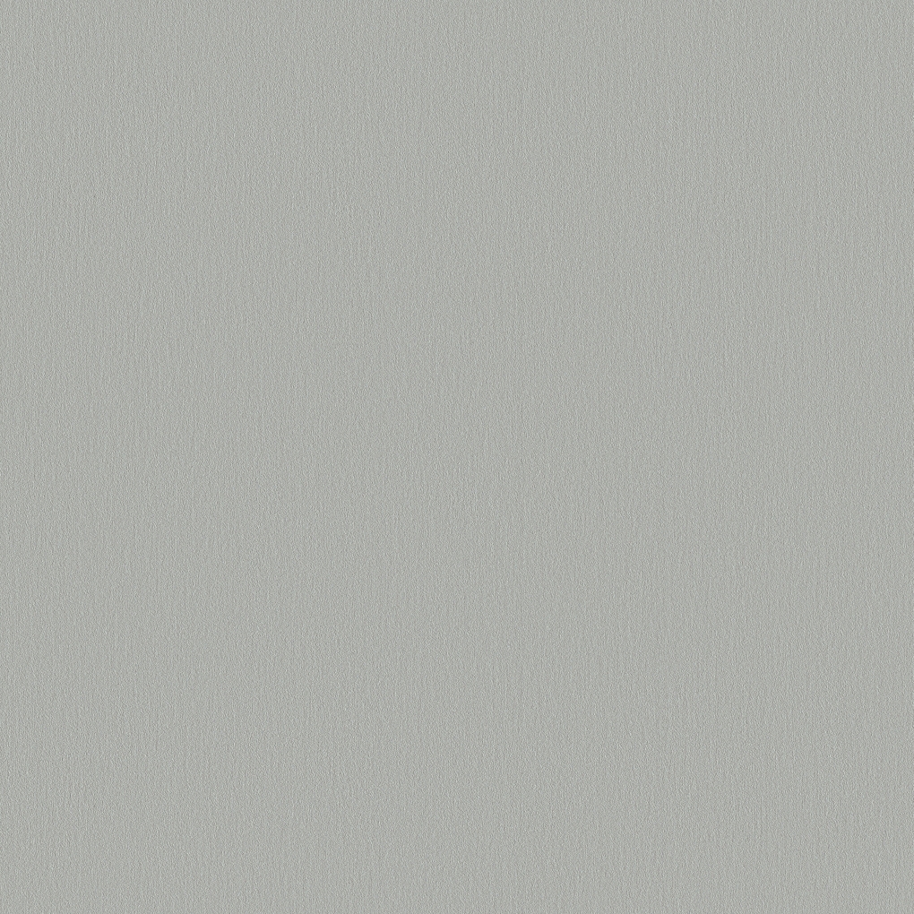 AF210 Silver Frost