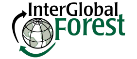 InterGlobal Forest